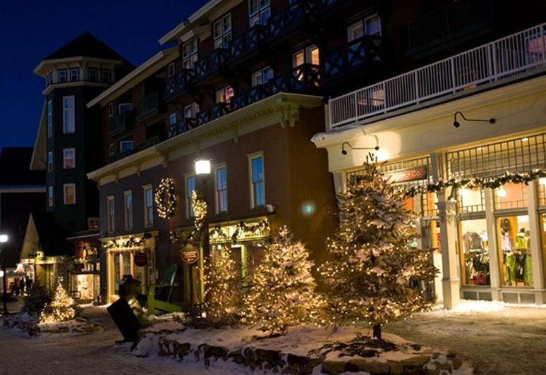 Allegheny Springs Snowshoe Exterior foto