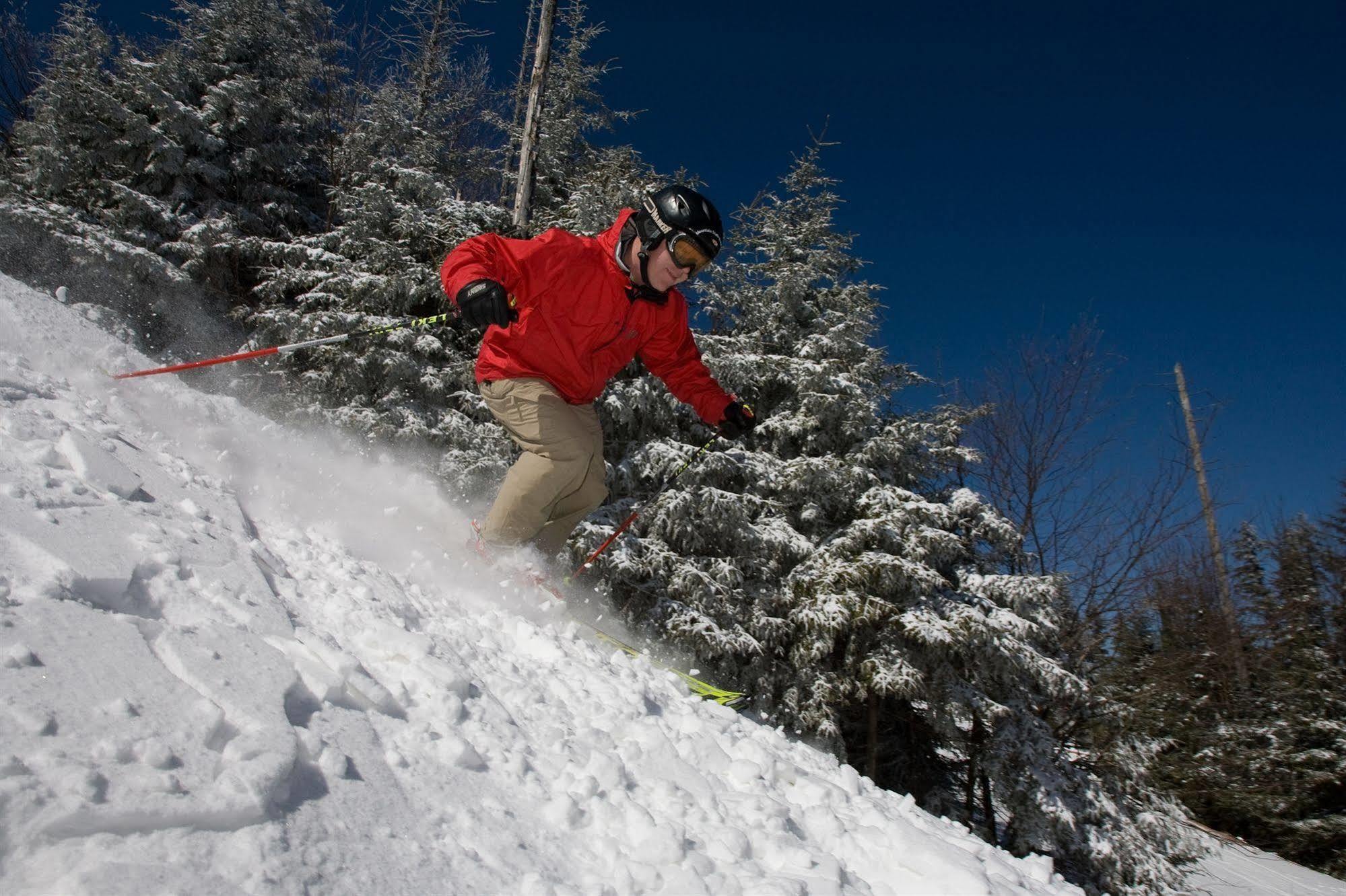 Allegheny Springs Snowshoe Exterior foto