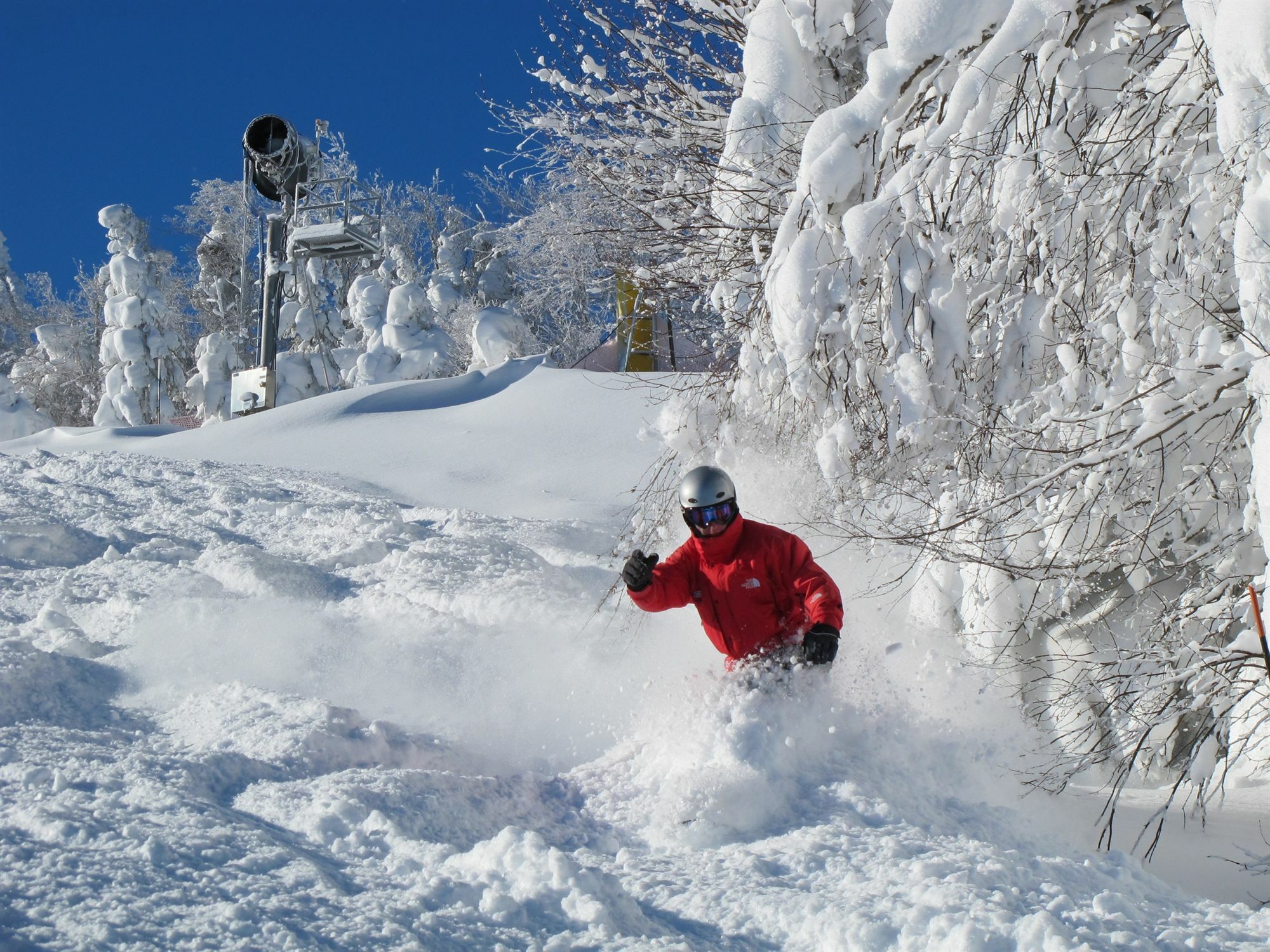 Allegheny Springs Snowshoe Exterior foto